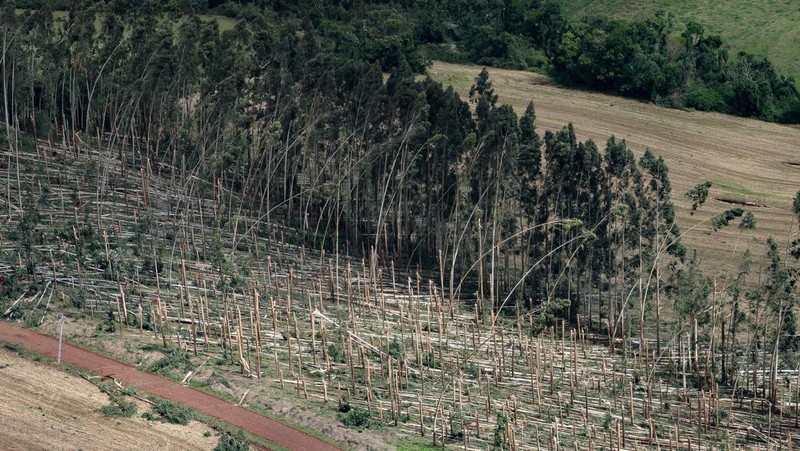 Angin Tornado menerjang sejumlah wilayah di kota Rio Bonito do Iguacu, negara bagian Parana, Brasil selatan, pada Jumat, 7 November. (via REUTERS/Parana State Government)