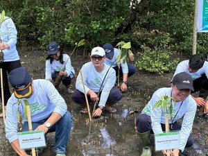 Lestarikan Ekosistem Pesisir, ASDP Tanam 3.000 Mangrove di Bitung