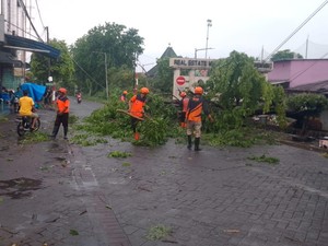 Puting Beliung Terjang Waru Sidoarjo, Pohon Tumbang-Warkop Ambruk