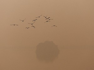 Kabut Asap Tebal Selimuti New Delhi, Begini Penampakannya