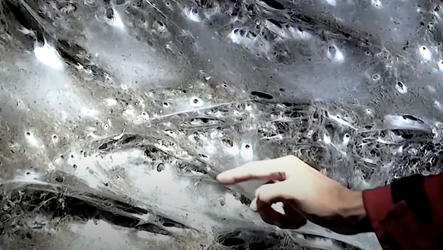 'Kota super' laba-laba yang ditemukan di gua bisa jadi merupakan jaring terbesar yang pernah ditemukan. (Tangkapan Layar Vieo/Reuters)