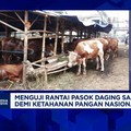 Video: Jika Stok Terbatas,Importir Khawatir Harga Daging Sapi Melonjak