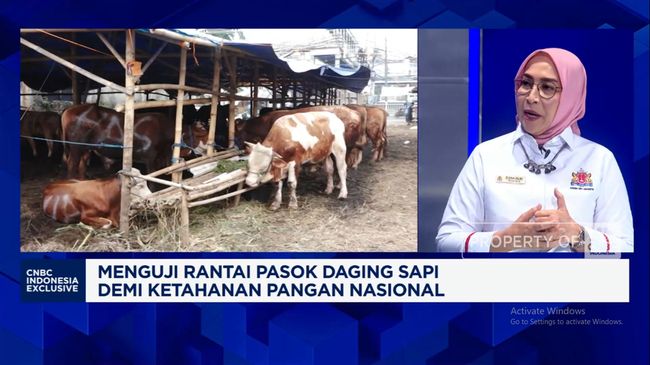 Video: Jika Stok Terbatas,Importir Khawatir Harga Daging Sapi Melonjak