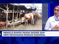 Video: Jika Stok Terbatas,Importir Khawatir Harga Daging Sapi Melonjak