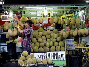 Pemerintah Malaysia Diminta Tetapkan Durian sebagai Buah Nasional