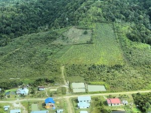 Ironi Daerah Perbatasan, Mayoritas Barang Toko Dipasok dari Malaysia