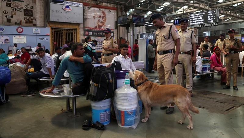 Seekor anjing pelacak polisi Mumbai mengendus tas selama patroli setelah keamanan ditingkatkan menyusul ledakan di New Delhi, di sebuah stasiun kereta api di Mumbai, India, 11 November 2025. (REUTERS/Francis Mascarenhas)