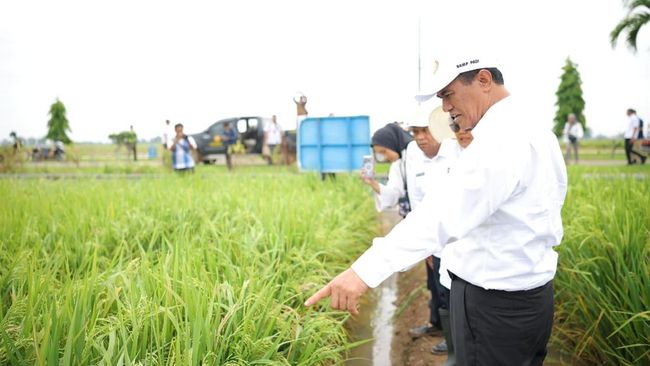 Ini Kronologi Amran Ngamuk saat Sidak dan Copot 2 Pejabat Kementan