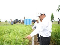 Ini Kronologi Amran Ngamuk saat Sidak dan Copot 2 Pejabat Kementan