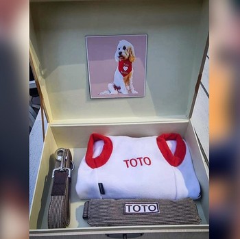 Prabowo Beri Hadiah Spesial ke 'Toto', Anjing Kesayangan PM Albanese