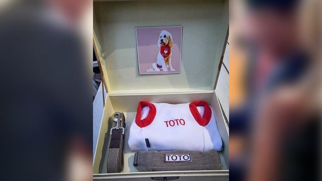 Prabowo Beri Hadiah Spesial ke 'Toto', Anjing Kesayangan PM Albanese