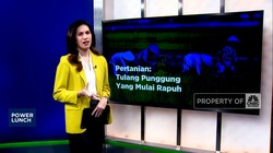 Video: Pertanian: Tulang Punggung Yang Mulai Rapuh
