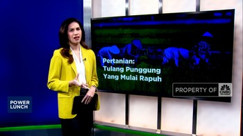Video: Pertanian: Tulang Punggung Yang Mulai Rapuh