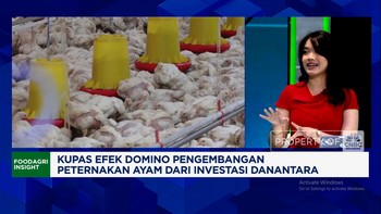 Video: Analis: Investasi Danantara Jangan Matikan Peternak Ayam Kecil