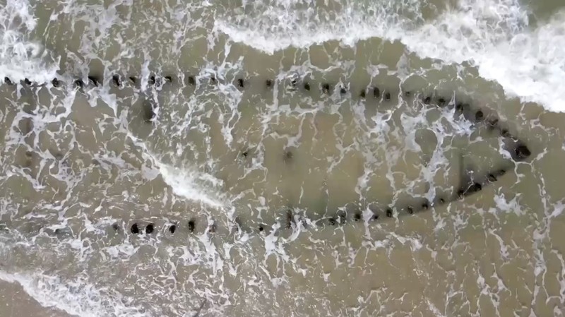 Erosi pantai parah yang disebabkan oleh Topan Kalmaegi pada Sabtu mengungkap kerangka kapal dagang kayu berusia berabad-abad di Pantai Tan Thanh, kawasan kota kuno Hoi An yang terdaftar sebagai Warisan Dunia UNESCO. (Tangkapan Layar Video Reuters/TRAN ANH PHUONG)