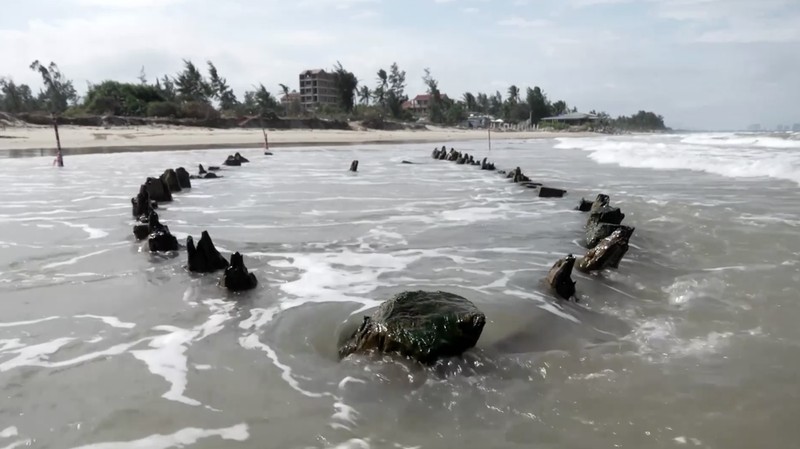 Erosi pantai parah yang disebabkan oleh Topan Kalmaegi pada Sabtu mengungkap kerangka kapal dagang kayu berusia berabad-abad di Pantai Tan Thanh, kawasan kota kuno Hoi An yang terdaftar sebagai Warisan Dunia UNESCO. (Tangkapan Layar Video Reuters/TRAN ANH PHUONG)