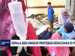 Video: Kepala BGN Ungkap Penyebab Keracunan di Program MBG
