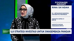Video: DPR Dukung Investasi Peternakan Ayam Danantara, Syaratkan Ini!