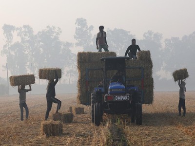 Pekerja memuat bal jerami padi ke traktor, di sawah, pada pagi yang berkabut, di tengah polusi udara yang terjadi di Mansa, di negara bagian Punjab, India utara, 12 November 2025. (REUTERS/Bhawika Chhabra)