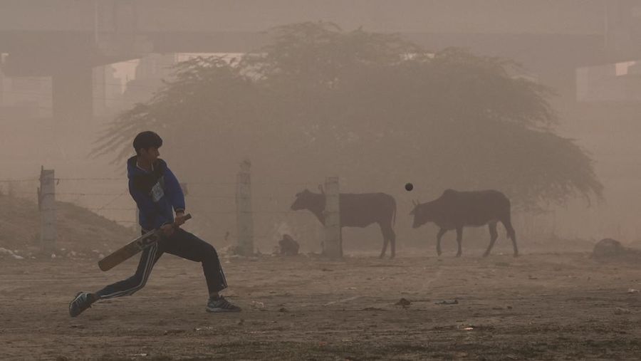Polusi udara di New Delhi, India, Kamis (13/11/2025). (REUTERS/Anushree Fadnavis)