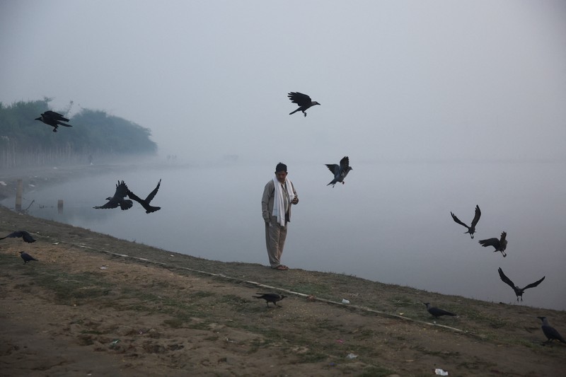 Polusi udara di New Delhi, India, Kamis (13/11/2025). (REUTERS/Anushree Fadnavis)
