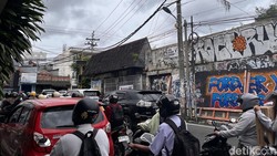 Kawanan Lebah Berkeliaran Ganggu Pengendara di Demangan Jogja