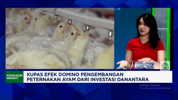Video: Investasi Peternakan, Danantara Selesaikan Soal Surplus Ayam?