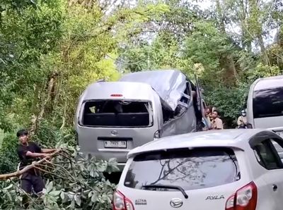 Kecelakaan Maut Minibus Tabrak Pohon di Bali, 5 Turis China Tewas