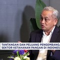 Video: Minat Investor Naik, Proyek Pangan Jadi Motor Ekonomi Baru