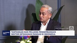 Video: Minat Investor Naik, Proyek Pangan Jadi Motor Ekonomi Baru
