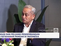 Video: Minat Investor Naik, Proyek Pangan Jadi Motor Ekonomi Baru