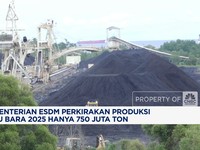 Video: Produksi Batu Bara 2025 Diproyeksi Anjlok Hampir 100 Juta Ton