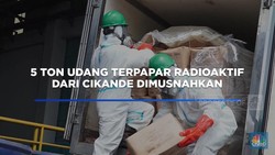 Video: 5 Ton Udang Terpapar Radioaktif dari Cikande Dimusnahkan
