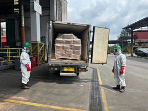 5,7 Ton Udang Terpapar Radioaktif Dimusnahkan