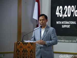 Ketua DPD: RI Nggak Cuma Ngomong Iklim, Eksekutif-Legislatif Bergerak