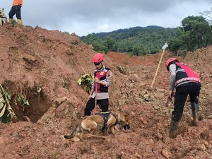 Unit K9 Bantu Temukan 7 Jenazah Korban Longsor Cibeunying Cilacap