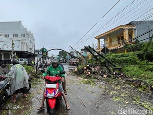 Pohon Tumbang Timpa Pengemudi Ojol di Jalan Leimena Makassar