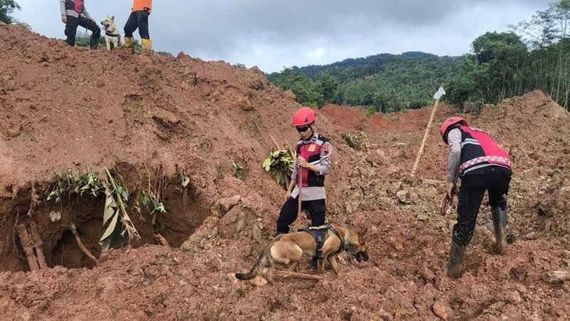 Anggota Badan SAR Nasional melakukan pencarian korban dari lokasi longsor yang melanda Desa Cibeunying di Cilacap, Jawa Tengah, Sabtu (15/11/2025). (REUTERS/Stringer)