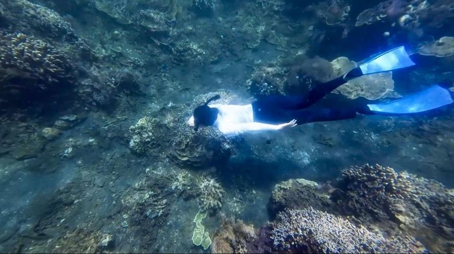 Kawasan konservasi terumbu karang di Kawasan Wisata Grand Watu Dodol, Banyuwangi, Jawa Timur, Jumat, (7/11/2025) (CNBC Indonesia/Mentari Puspadini)