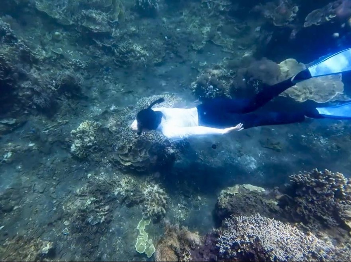 Penemuan Koloni Karang Terbesar Dunia di Kepulauan Solomon Jadi Harapan Baru