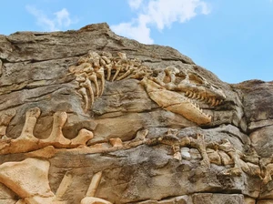 Dinosaurus Berukuran 29 Meter Ditemukan Tak Sengaja