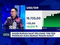 Video: Ungkap Sebab Rupiah Tertekan di Level Rp 16.700 per Dolar AS