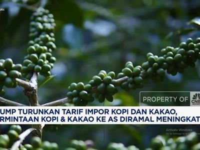 Video: Permintaan Meningkat, Trump Turunkan Tarif Impor Kopi & Kakao