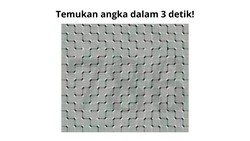 Tes Ketajaman Mata, Bisa Menemukan Semua Angka Tersembunyi?