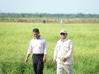 Lawan Serakahnomics, Amran Tegaskan Lindungi Petani dari Mafia Pangan