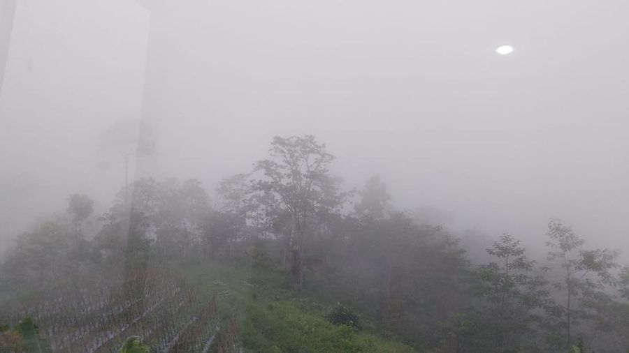 Erupsi Gunung Semeru, Jawa Timur, Rabu (19/11/2025). (Dok. Tim Kerja Gunung Api, Badan Geologi via Magma.esdm)