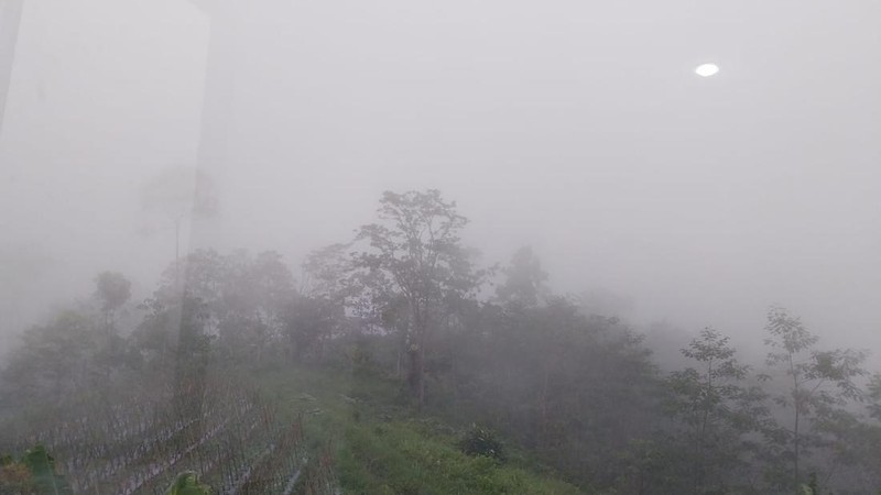 Erupsi Gunung Semeru, Jawa Timur, Rabu (19/11/2025). (Dok. Tim Kerja Gunung Api, Badan Geologi via Magma.esdm)