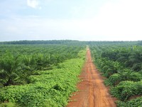 Ada Transaksi Nego Rp9,44 Triliun, Saham Ini Langsung ARA