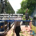Ada pohon tumbang di Senayan, Transjakarta koridor 1-MRT Tergangggu