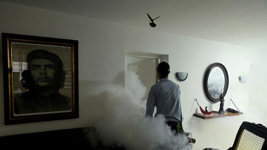 Competitors run during the 39th edition of the Marabana marathon in Havana, Cuba, November 16, 2025. REUTERS/Norlys Perez